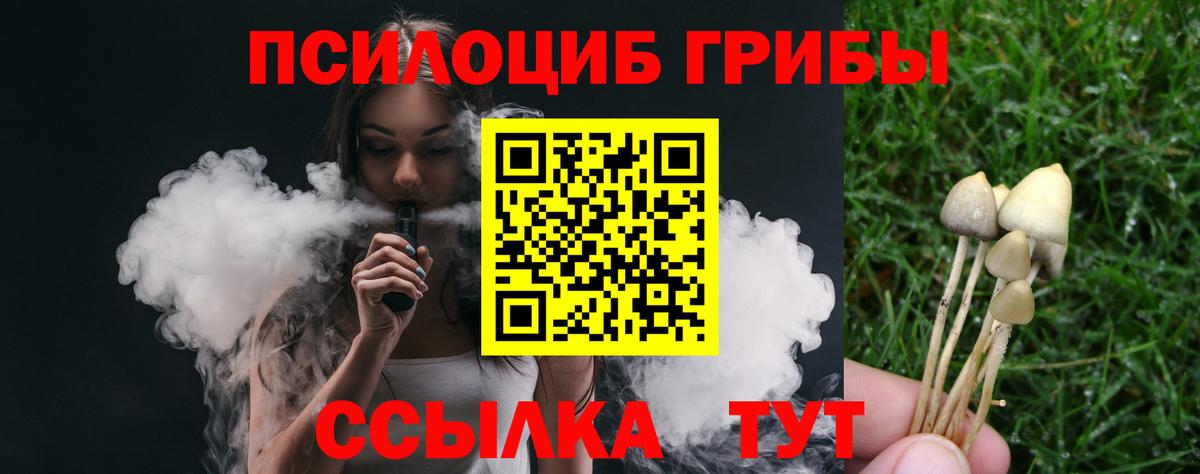 Галлюциногенные грибы мицелий  Вход с VPN  Зеленокумск 